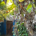 Casa à venda com 2 quartos em Tucuns, Armação dos Búzios, RJ
