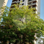 Apartamento à venda com 4 quartos, sendo 3 suítes, em Vila Andrade, São Paulo, SP
