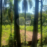 Terreno à venda em Morumbi, São Paulo, SP