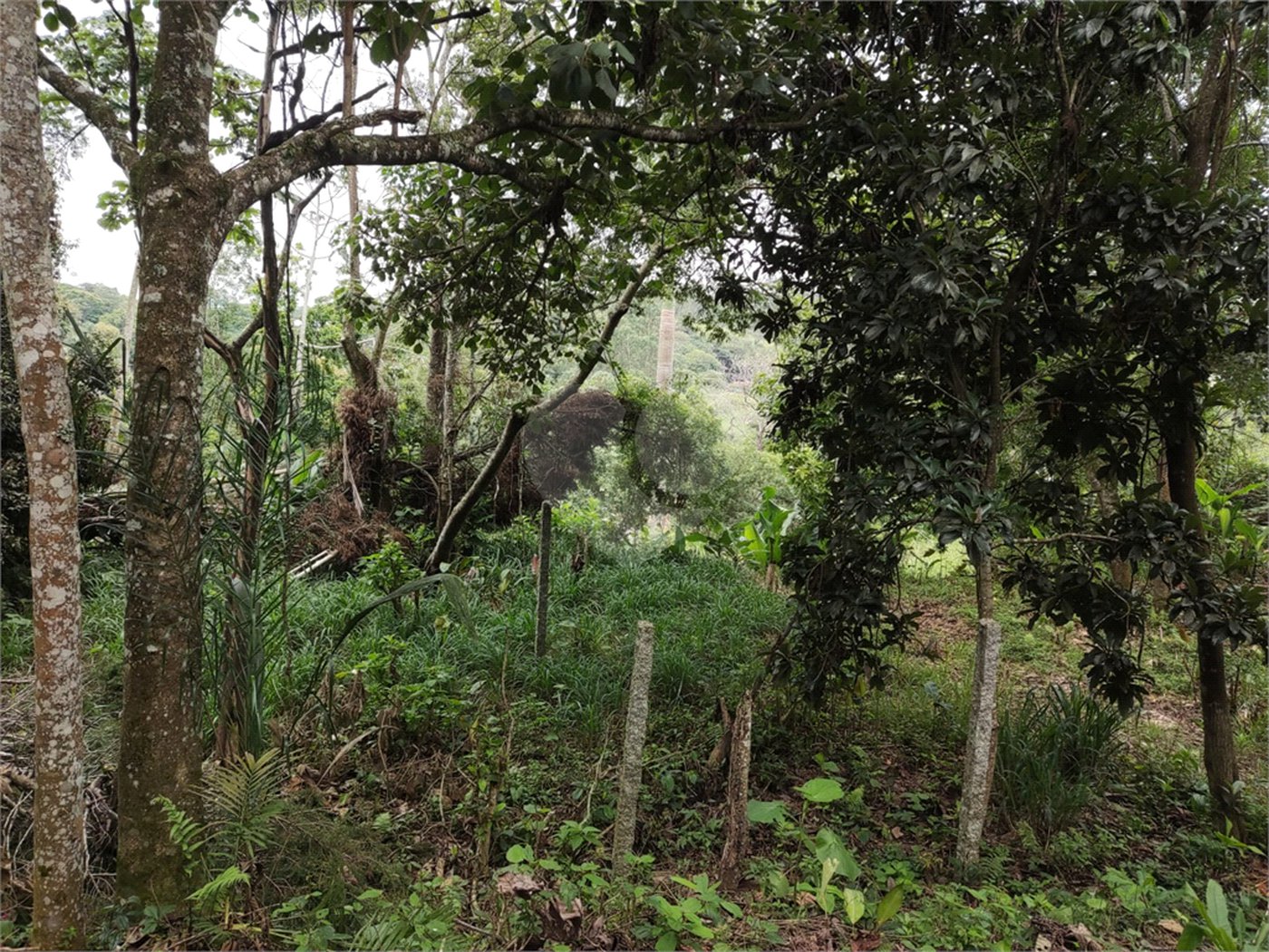 Terreno à venda em Vila Moraes, Mogi das Cruzes, SP