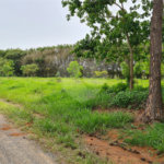 Terreno à venda em Portal da Figueira, Itapetininga, SP