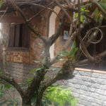Casa à venda com 2 quartos em Campo Grande, Rio de Janeiro, RJ