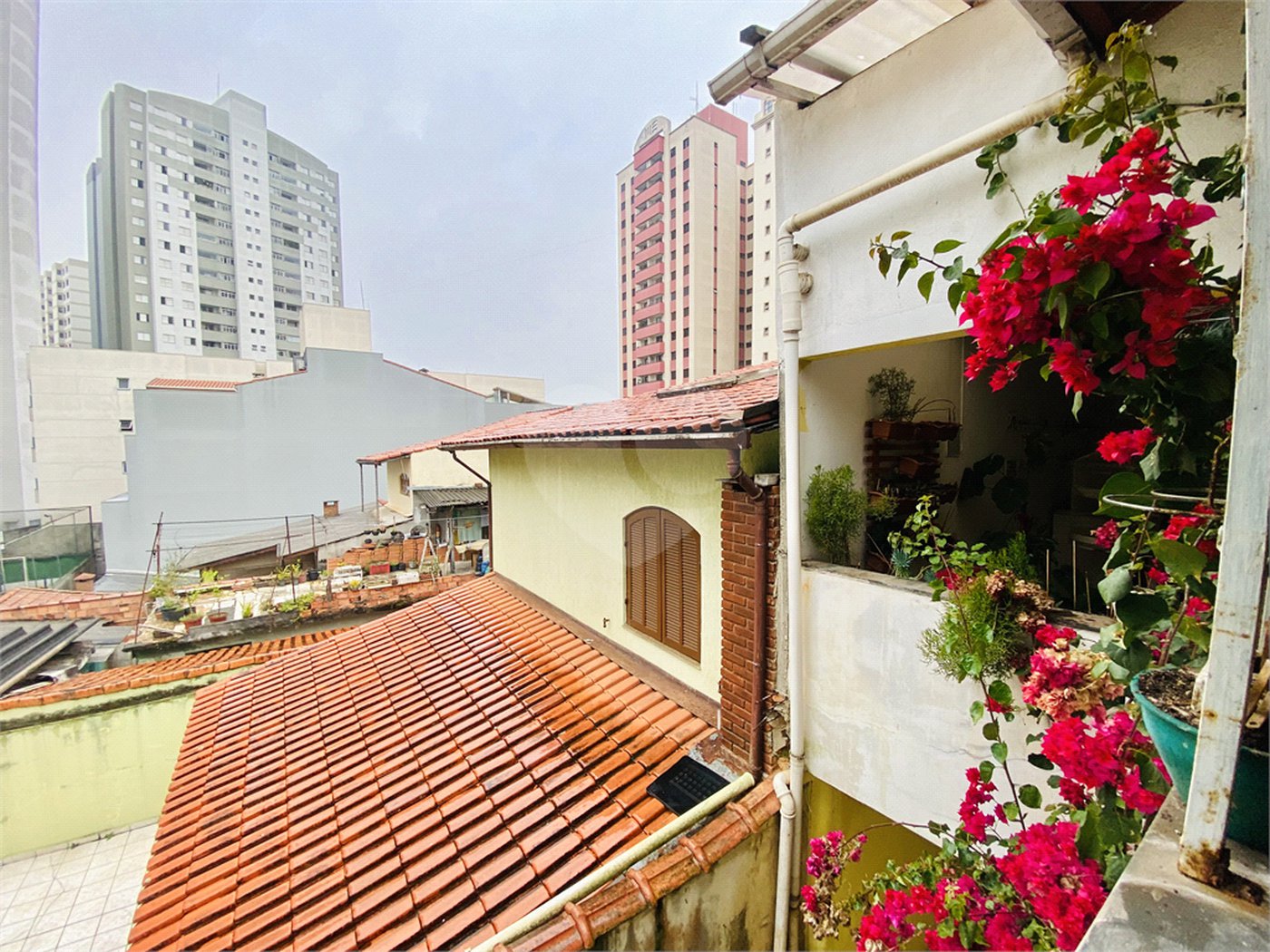 Sobrado à venda com 4 quartos, sendo 1 suíte, em Vila Gilda, Santo André, SP
