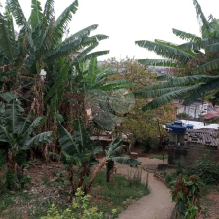 Terreno à venda em Parque Fernanda, São Paulo, SP