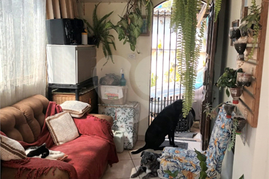 Terreno à venda com 3 quartos em Vila Matilde, São Paulo, SP