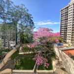 Apartamento à venda com 2 quartos em Água Fria, São Paulo, SP