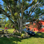 Chácara para alugar com 4 quartos, sendo 2 suítes,  no Centro (canguera), São Roque, SP