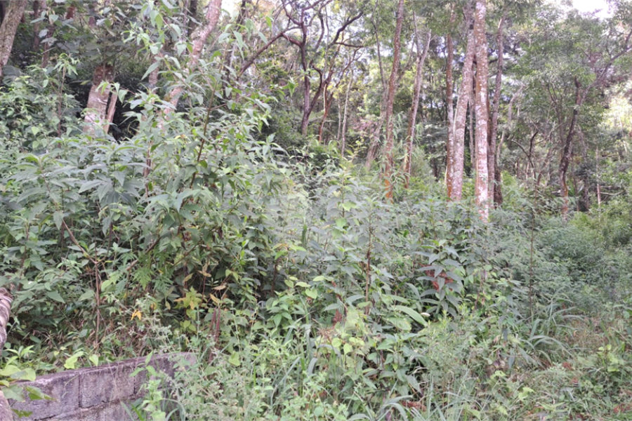 Terreno à venda em Serra da Cantareira, Mairiporã, SP
