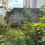 Terreno à venda em Vila Fiuza, Guarulhos, SP
