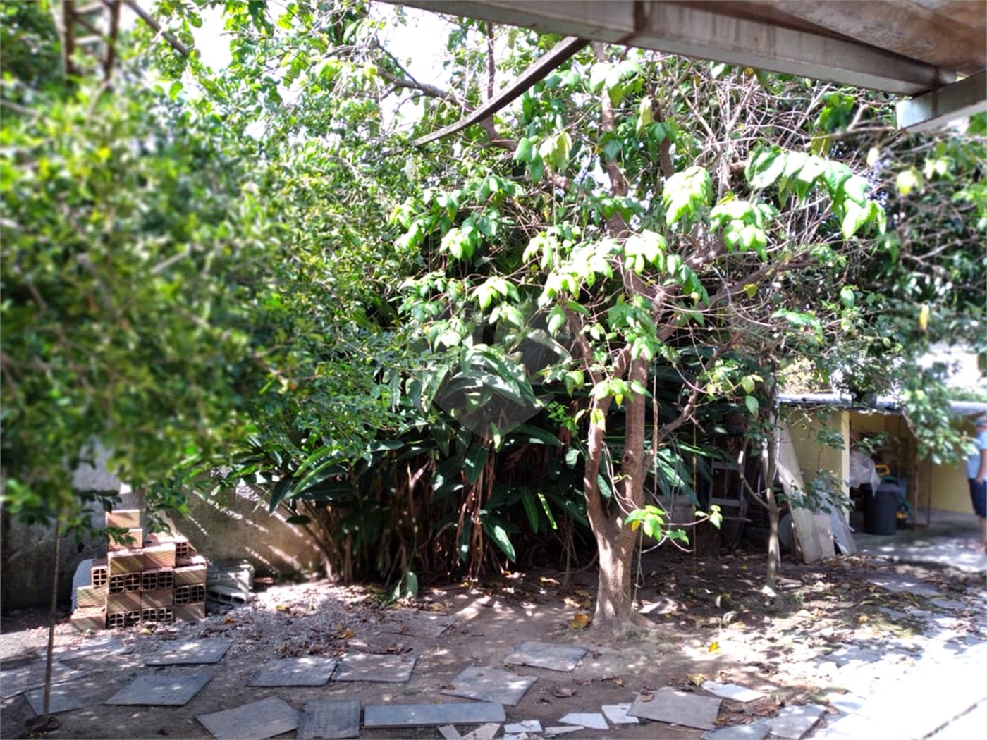 Terreno à venda com 1 quarto em Vila Mazzei, São Paulo, SP