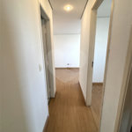 Apartamento à venda com 3 quartos em Mandaqui, São Paulo, SP