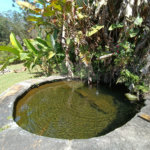 Chácara à venda com 4 quartos em Jardim Cardoso (mailasqui), São Roque, SP