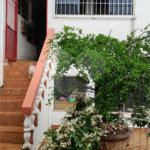 Casa com 4 dormitórios sendo 1 suíte a venda no bairro Samambaia