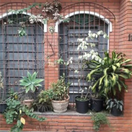 Casa à venda com 3 quartos, sendo 1 suíte, em Rio Pequeno, São Paulo, SP