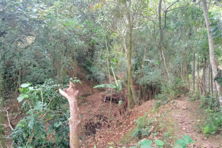 Terreno à venda em Vila Sol Nascente, Suzano, SP