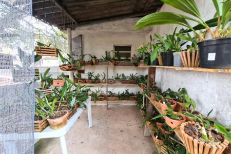 Terreno à venda em Vila Pirajussara, São Paulo, SP