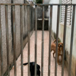 Casa à venda com 3 quartos, sendo 1 suíte, em Vila Barcelona, Sorocaba, SP