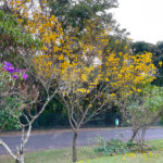 Casa à venda com 3 quartos, sendo 1 suíte, no condomínio Vale do Lago, Sorocaba - SP