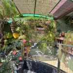 Casa à venda com 3 quartos, sendo 1 suíte, no Centro, Itapetininga, SP