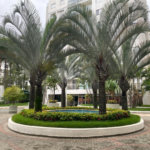Cobertura à venda com 3 quartos, sendo 1 suíte,  em Cidade São Francisco, São Paulo, SP
