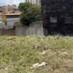 Terreno à venda em Vila Guilherme, São Paulo, SP
