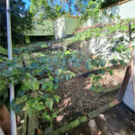 Casa à venda com 1 quarto, sendo 2 suítes, em Campo Grande, Rio de Janeiro, RJ