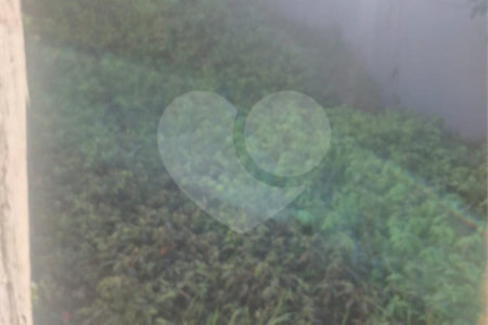 Terreno à venda em Jardim Adelfiore, São Paulo, SP
