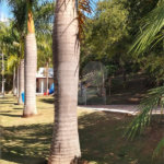 Terreno à venda com 1 suíte em Pinheirinho, Vinhedo, SP