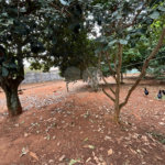 Chácara à venda com 3 quartos em Vila Sottemo, Itapetininga, SP