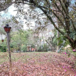 Sobrado à venda ou para alugar com 15 quartos em Tremembé, São Paulo, SP