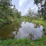 Sítio à venda com 6 quartos, sendo 5 suítes, em Área Rural de Itapetininga, Itapetininga, SP