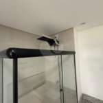 Apartamento para alugar com 1 suíte em Santana, São Paulo, SP