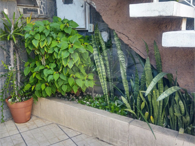 Casa à venda com 3 quartos em Vila Guilherme, São Paulo, SP