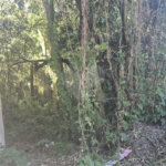 Terreno à venda no condomínio Alpes da Cantareira, Mairiporã - SP