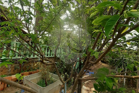 Casa à venda com 3 quartos, sendo 1 suíte, no condomínio Zuleika Jabour, Salto - SP