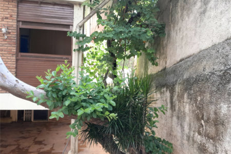 Sobrado à venda com 6 quartos, sendo 3 suítes, em Rolinópolis, São Paulo, SP