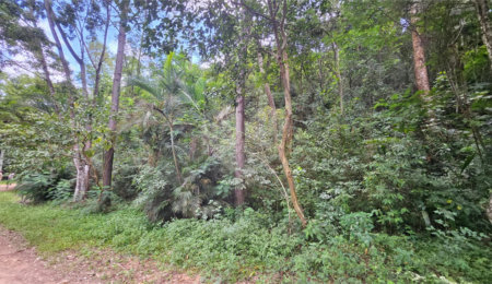 Terreno à venda em Chácara Recreio Lagoa dos Patos, Jundiaí, SP