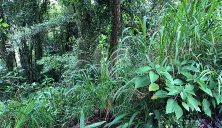 Terreno à venda no condomínio Gleba E2, Mairiporã - SP