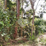 Terreno à venda no condomínio Suíça da Cantareira, Mairiporã - SP