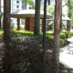 Apartamento à venda com 4 suítes em Vila Andrade, São Paulo, SP