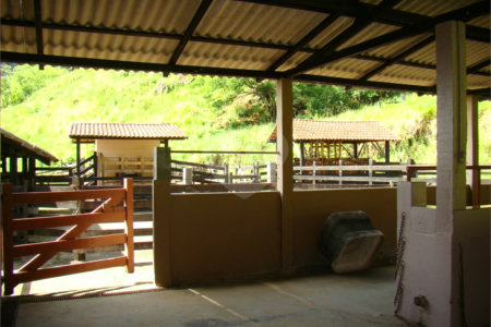 Fazenda à venda com 7 quartos, sendo 3 suítes, em Professor Souza, Casimiro de Abreu, RJ