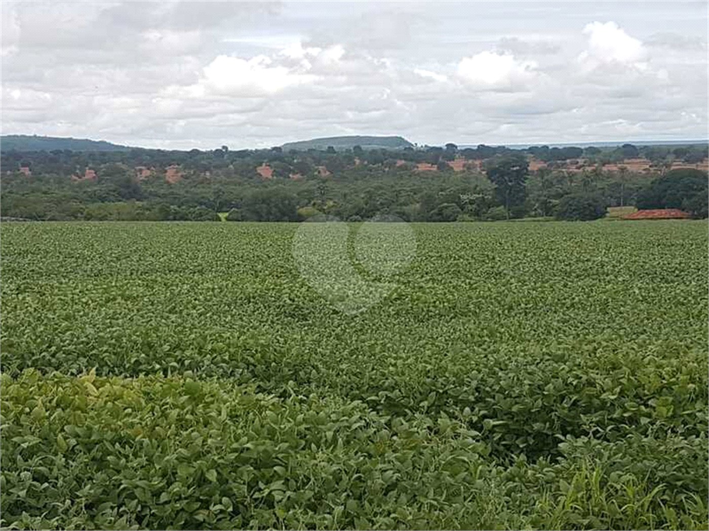 Fazenda à venda com 2 quartos em Canabrava, João Pinheiro, MG