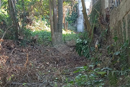 Terreno à venda em Vila Tramontano, São Paulo, SP