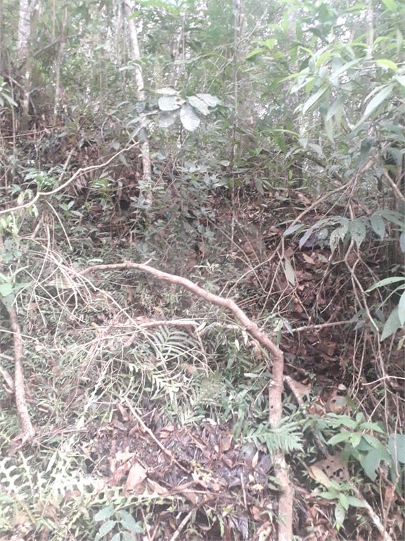 Terreno à venda em Suasalito, Mairiporã, SP