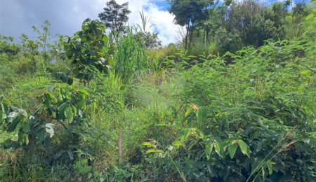 Terreno à venda em Jardim Estância Brasil, Atibaia, SP