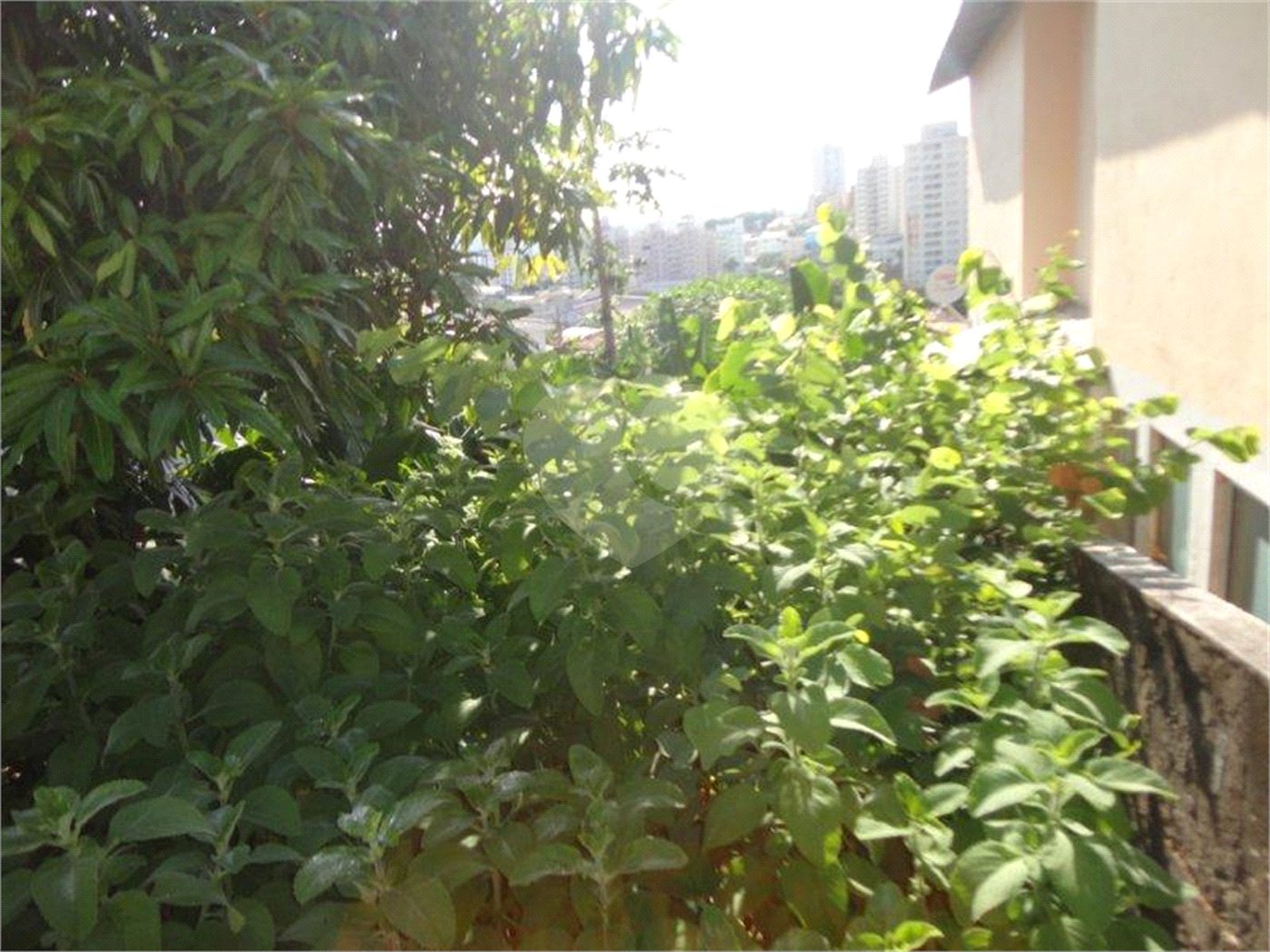 Terreno à venda em Vila São José, Valinhos, SP