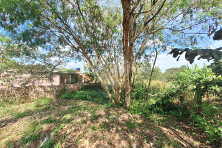 Terreno à venda em Bairro do Porto, Itapetininga, SP