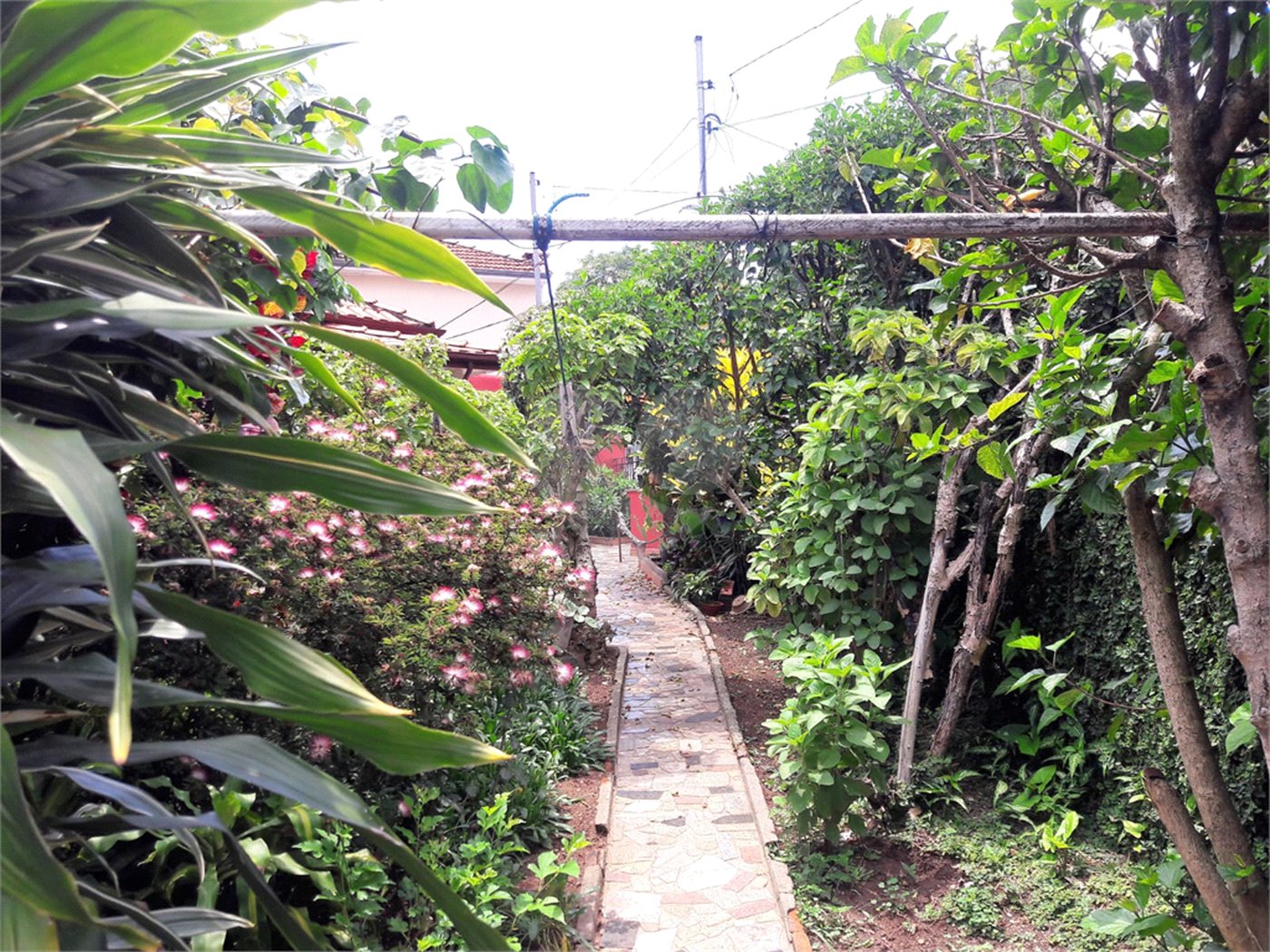 Terreno à venda com 2 quartos em Tremembé, São Paulo, SP
