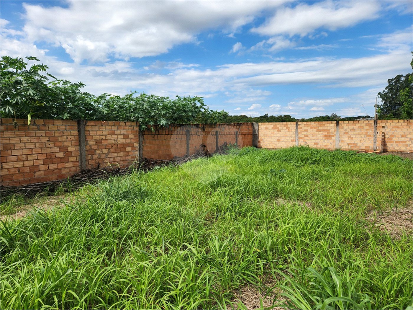 Terreno à venda em Parque Alvorada, Araraquara, SP