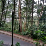 Terreno à venda em Tucuruvi, São Paulo, SP